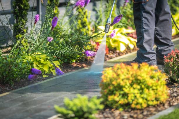 Best Machinery and Equipment Cleaning  in West Linn, OR