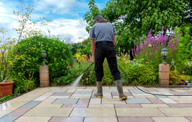 Best Animal Enclosure Cleaning  in West Linn, OR